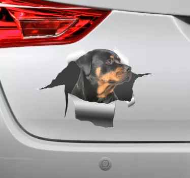 Haustier Aufkleber Rottweiller lochaufkleber - TenStickers