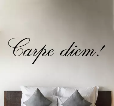 Wandtattoo Motivation Carpe diem zarter dünner schriftzug - TenStickers