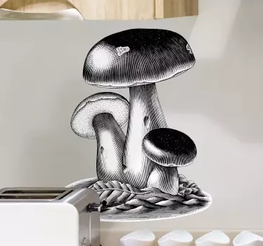 Wandtattoo Pflanzen detaillierte pilzillustration - TenStickers