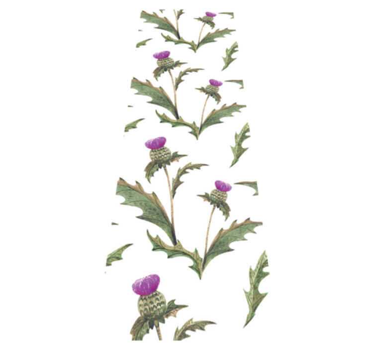 Vinyl teppich schlafzimmer schottische disteln - TenStickers