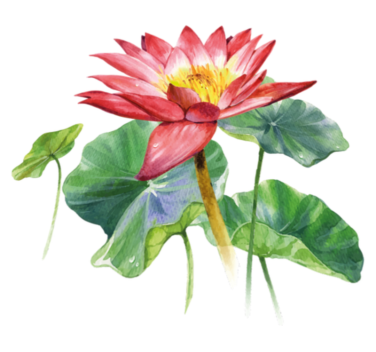 Vinyl teppich schlafzimmer lotus aquarell illusion - TenStickers