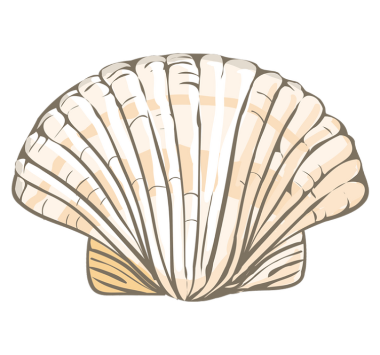 Vinylteppich Muscheln Große Muschel - TenStickers