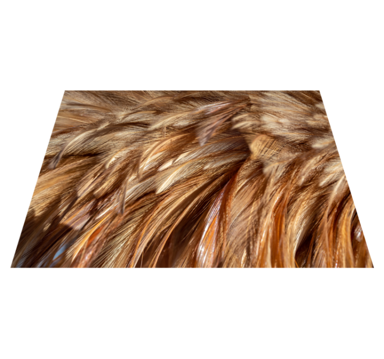 Vinylteppich Animal Print Flauschige schwanzfedern - TenStickers
