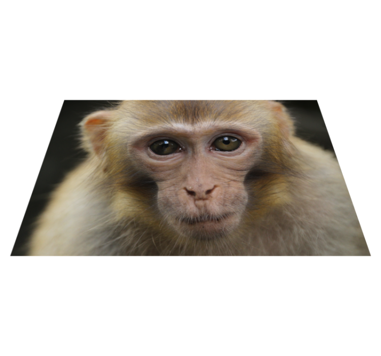 Vinyl Teppich Tiere baby-affengesicht - TenStickers