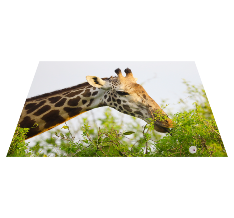 Vinyl teppich tiere giraffe frisst gras - TenStickers