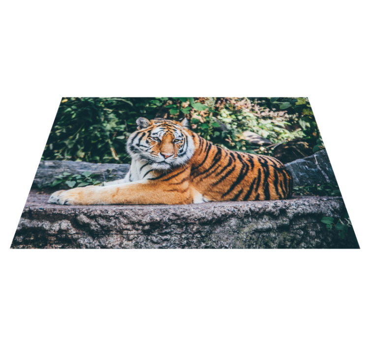 Vinylteppich Tiere Tier majestätischer tiger - TenStickers