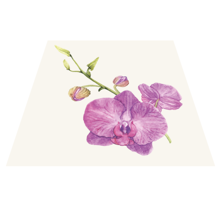 Vinylteppich Blumen hübsche Orchidee - TenStickers