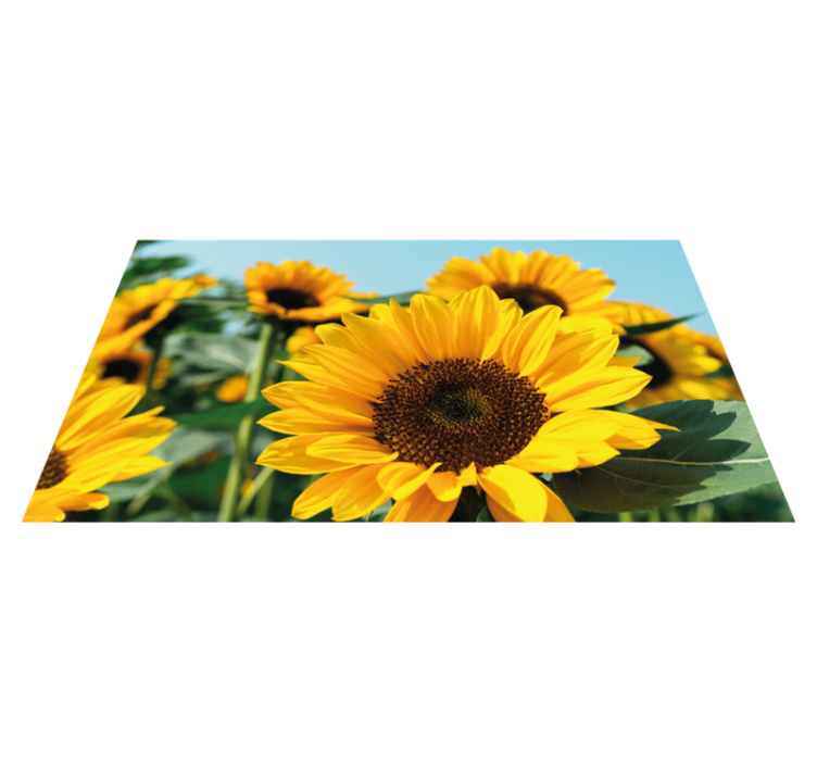 Vinyl Teppich Blumen helles sonnenblumen-design - TenStickers