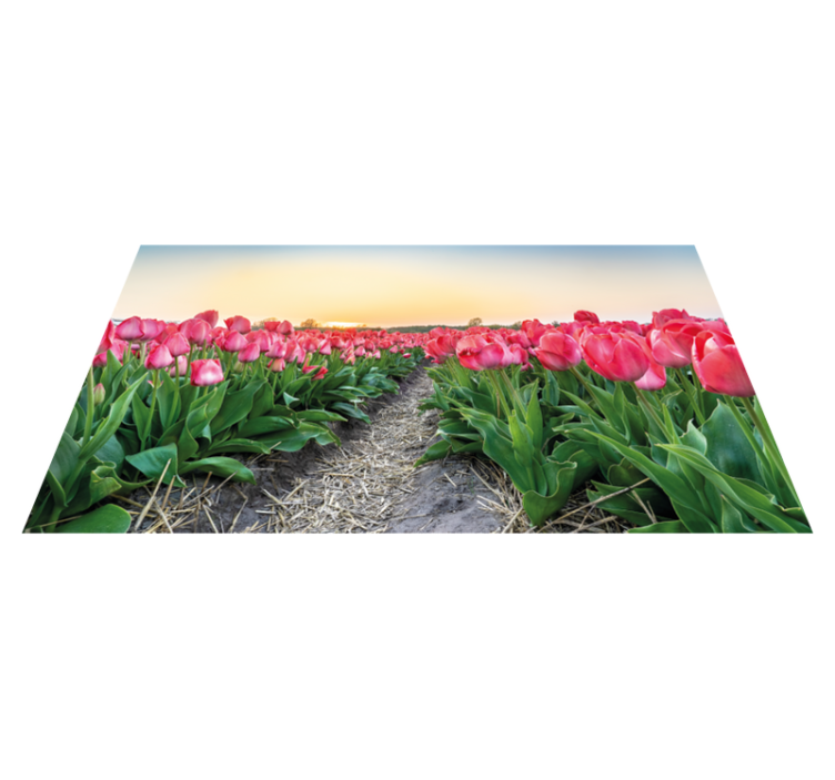 Vinyl Teppich Blumen tulpenfeld perspektive - TenStickers