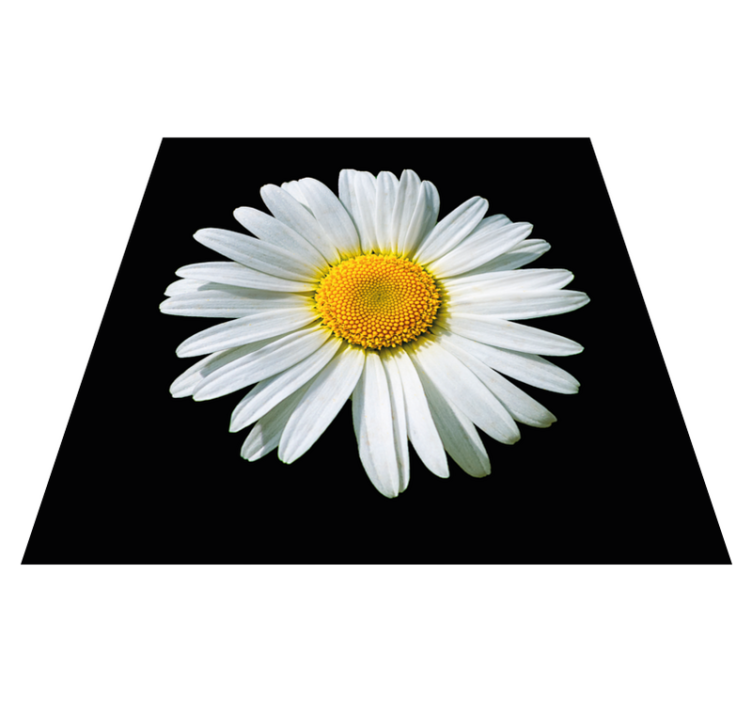 Vinyl Teppich Blumen gänseblümchenblüte - TenStickers