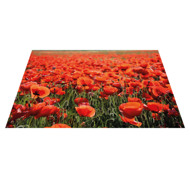 Vinyl Teppich Blumen leuchtend rote mohnblumen - TenStickers