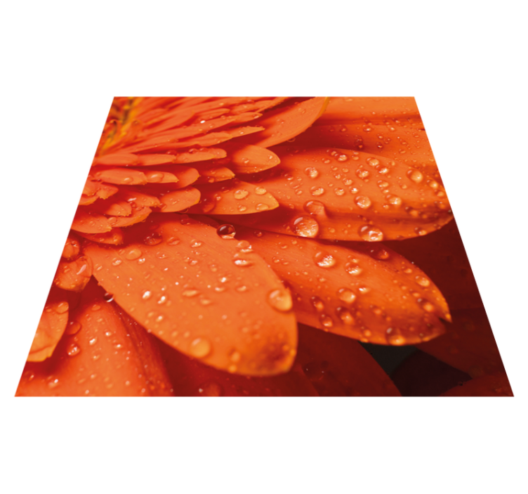 Vinyl Teppich Blumen leuchtend orange blütenblätter - TenStickers