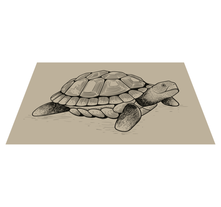 Vinyl Teppich Tiere schildkrötenillustration - TenStickers