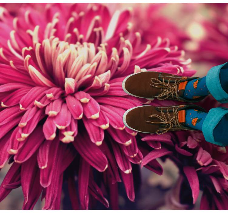 Vinyl Teppich Blumen realistische chrysantheme - TenStickers