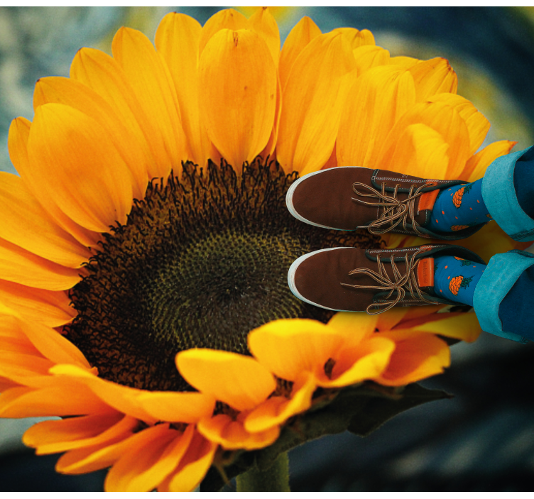 Vinyl Teppich Blumen sonnenblume blüht hell - TenStickers