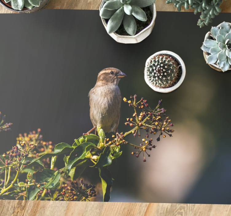 Vinyl Teppich Natur charmanter vogel thront - TenStickers