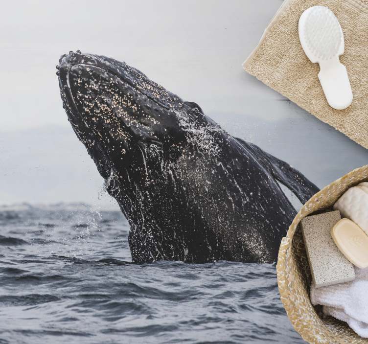 Vinyl Teppich Natur majestätischer walsprung - TenStickers