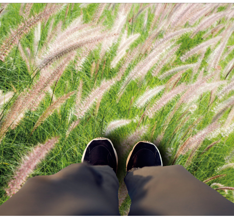 Vinyl Teppich Natur üppige grünlandschaft - TenStickers