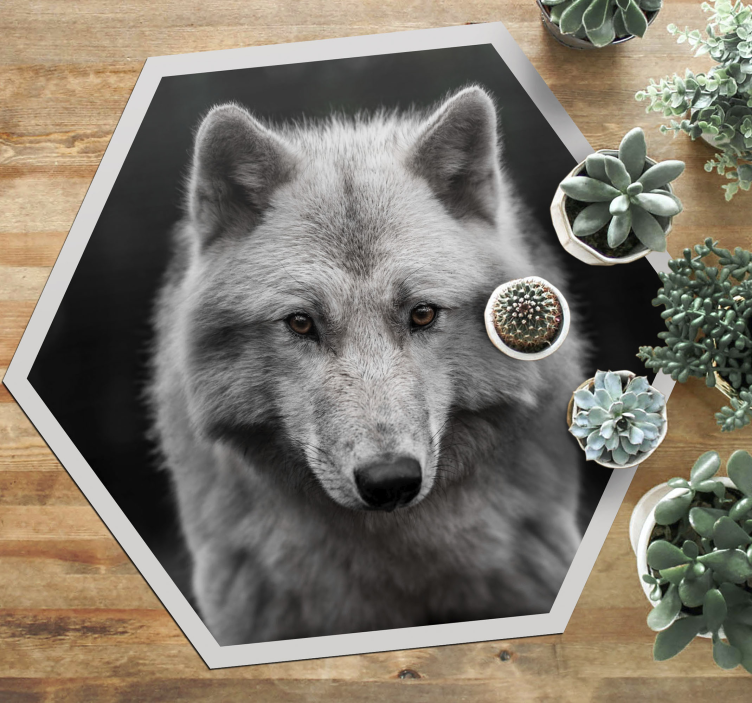 Vinyl Teppich Tiere wolfsporträt - TenStickers