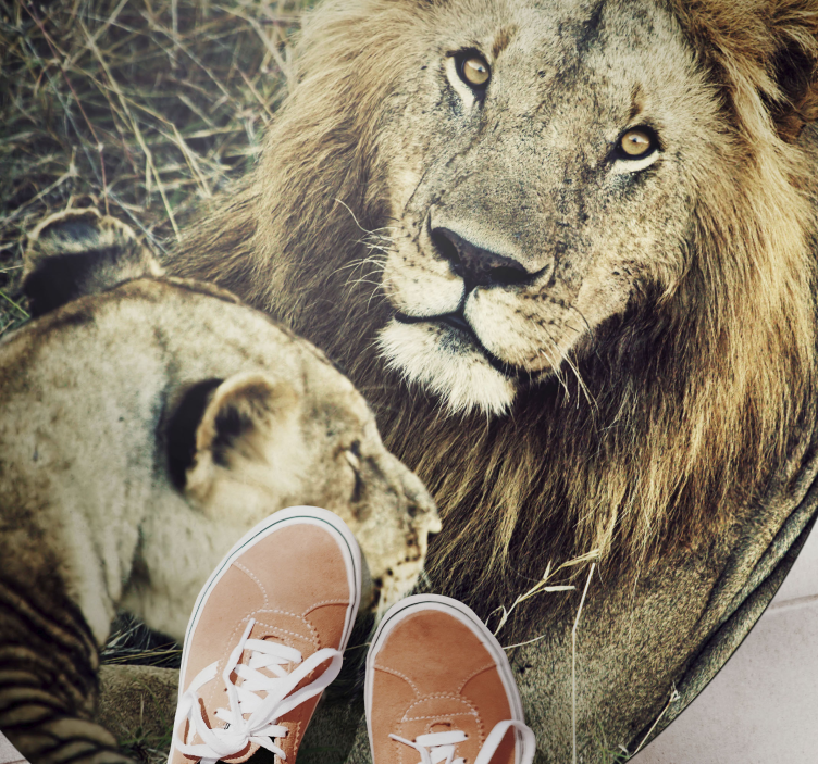 Vinyl Teppich Tiere majestätisches löwenpaar - TenStickers