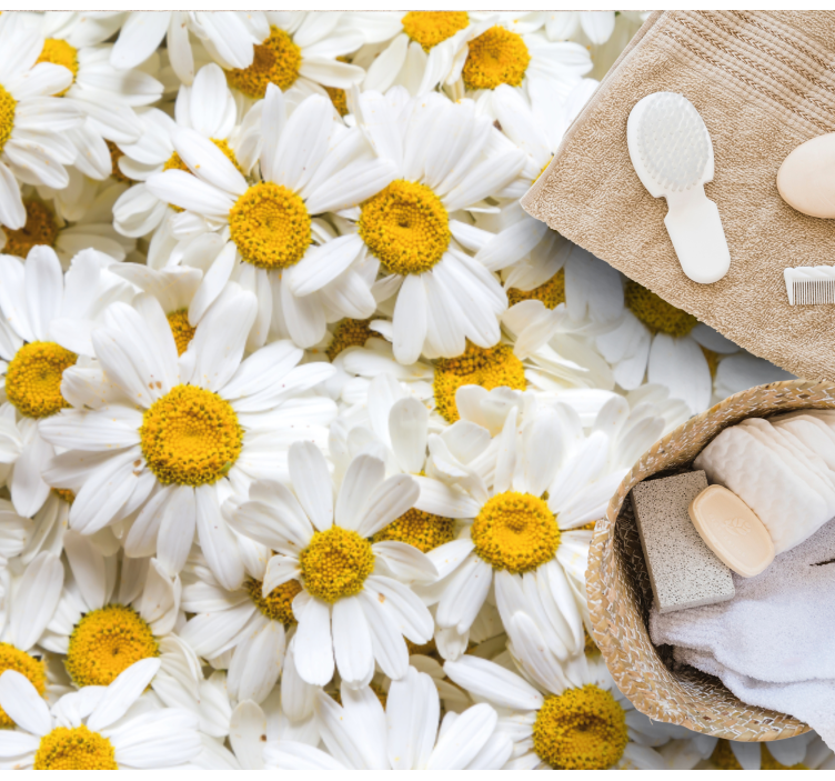 Vinylteppich Blumen Gänseblümchen blüht Bild - TenStickers