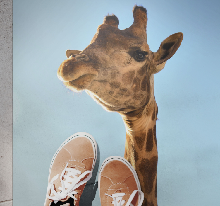 Vinylteppich Tiere Giraffe nahaufnahme - TenStickers