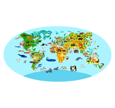 Vinylteppich Kinder Fauna und vegetation weltkarte vinyl teppich - TenStickers