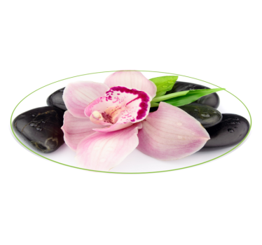 Vinylteppich Pflanzen Rosa orchidee mit steinen - TenStickers