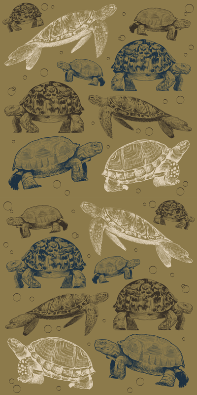 Vinyl teppich tiere mit beigem hintergrund schildkröten - TenStickers