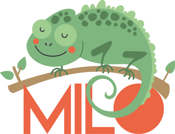 Vinyl teppich tiere chamäleon mit namen - TenStickers