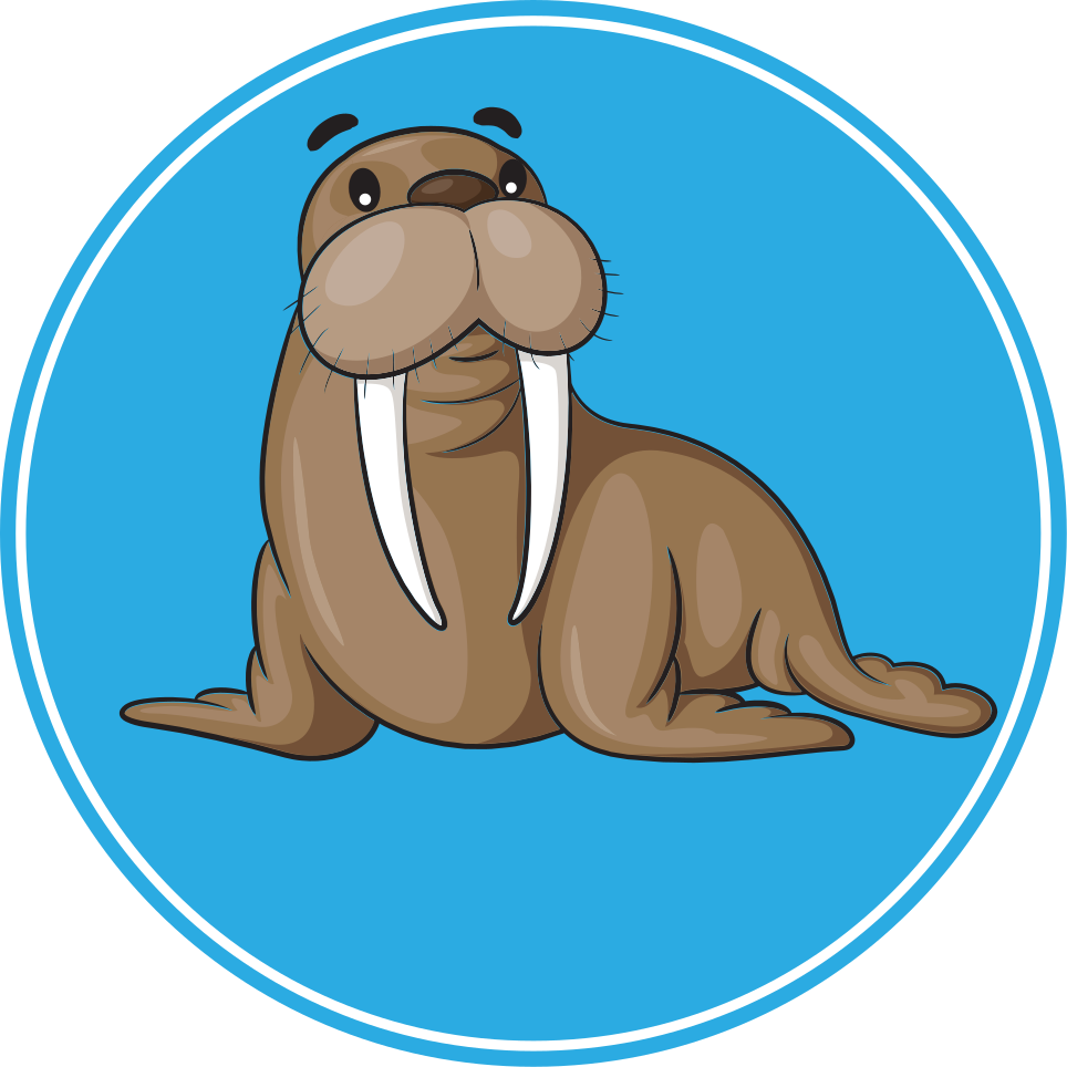 Vinyl teppich tiere süßer walross charakter - TenStickers