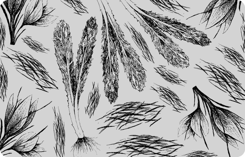 Vinyl teppich blumen in getrocknetem grauen muster - TenStickers