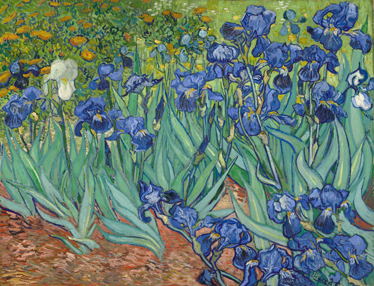 Vinyl teppich blumen im van gogh stil - TenStickers