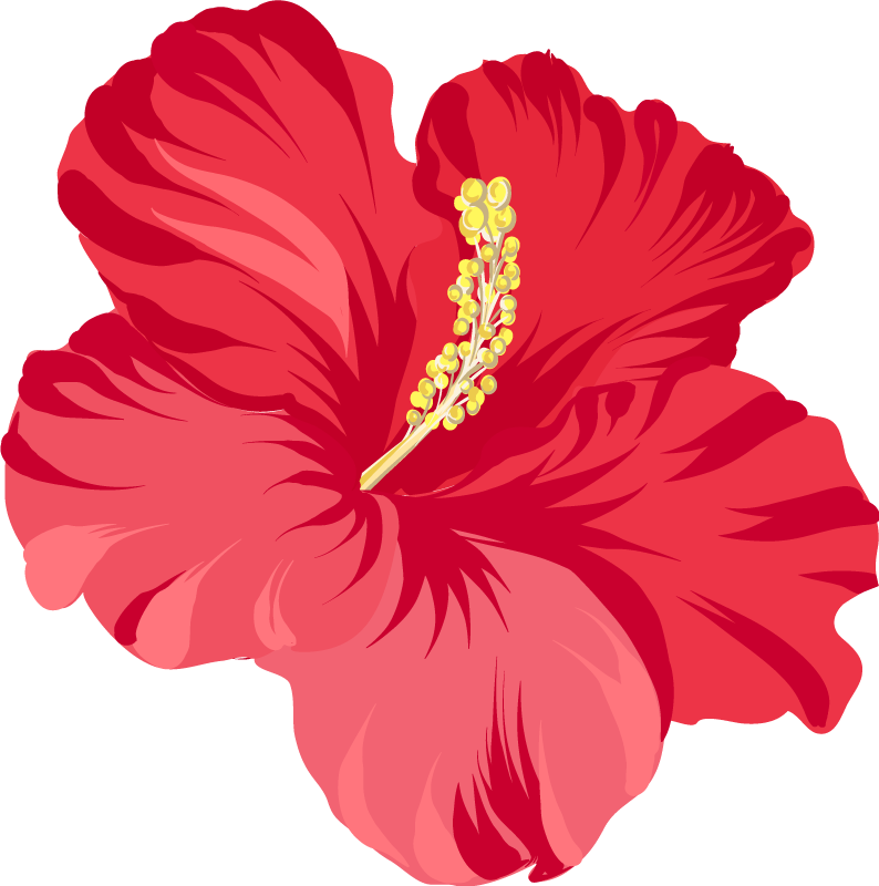 Vinyl teppich blumen rotes hibiskusblüten-set - TenStickers