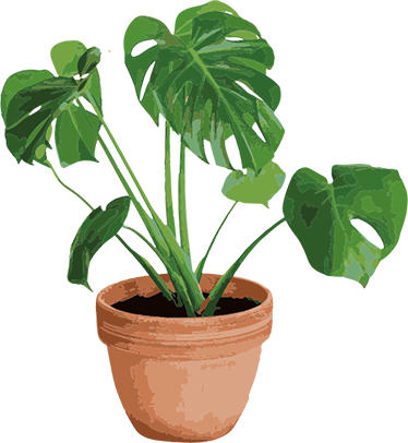 Vinyl teppich blumen mit einfachem monstera topf - TenStickers