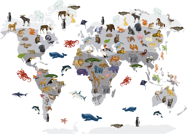 Vinyl teppich weltkarte im nordischen stil - TenStickers