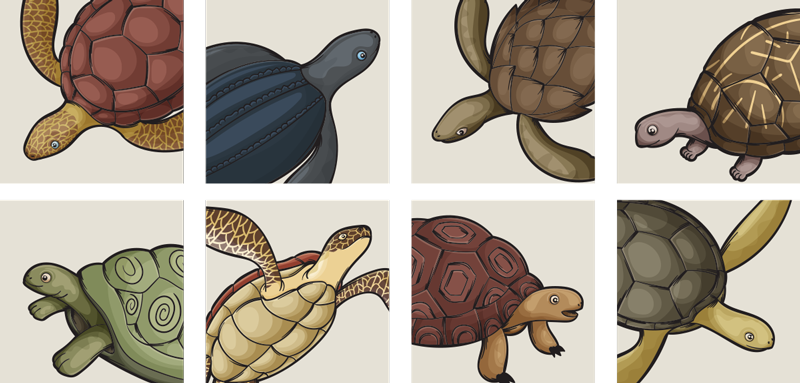 Vinyl teppich bad mit verschiedenen schildkrötenmotiven - TenStickers