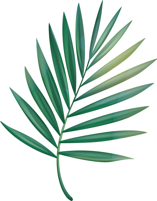 Vinyl teppich bad blatt palme - TenStickers
