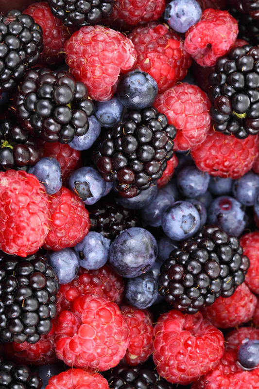 Vinyl teppich küche blaubeeren - TenStickers