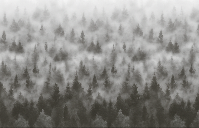 Vinyl teppich schlafzimmer 3d nebeliger berg - TenStickers