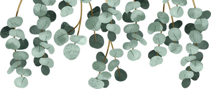 Vinyl teppich schlafzimmer mit hängenden pflanzen - TenStickers