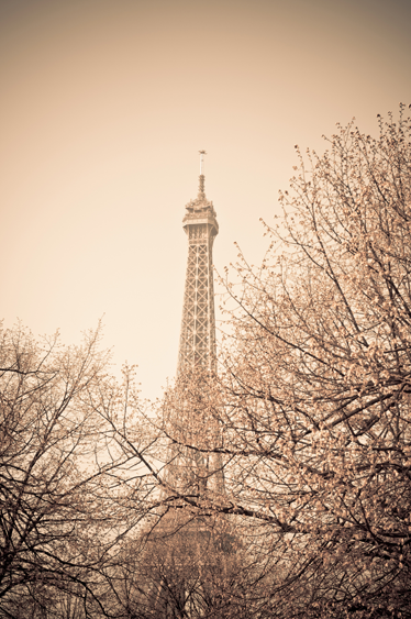 Vinyl teppich schlafzimmer eiffel turm mit bäumen - TenStickers