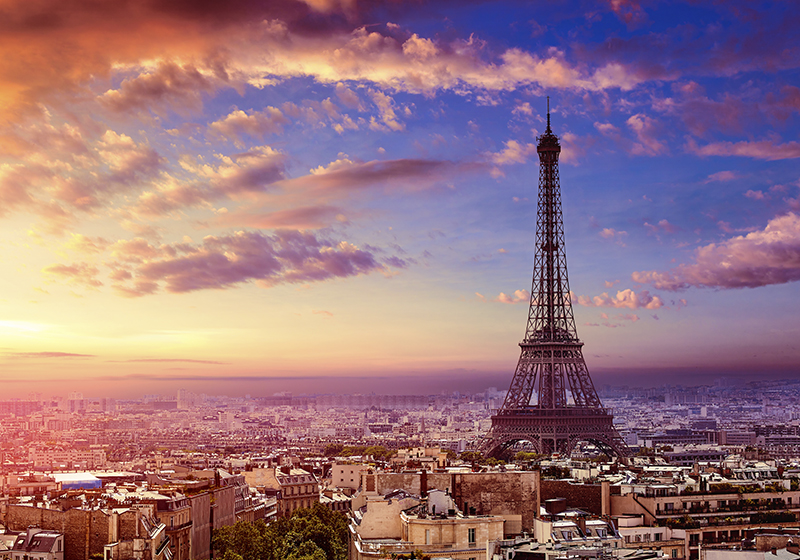 Vinyl teppich lila mit paris blick - TenStickers