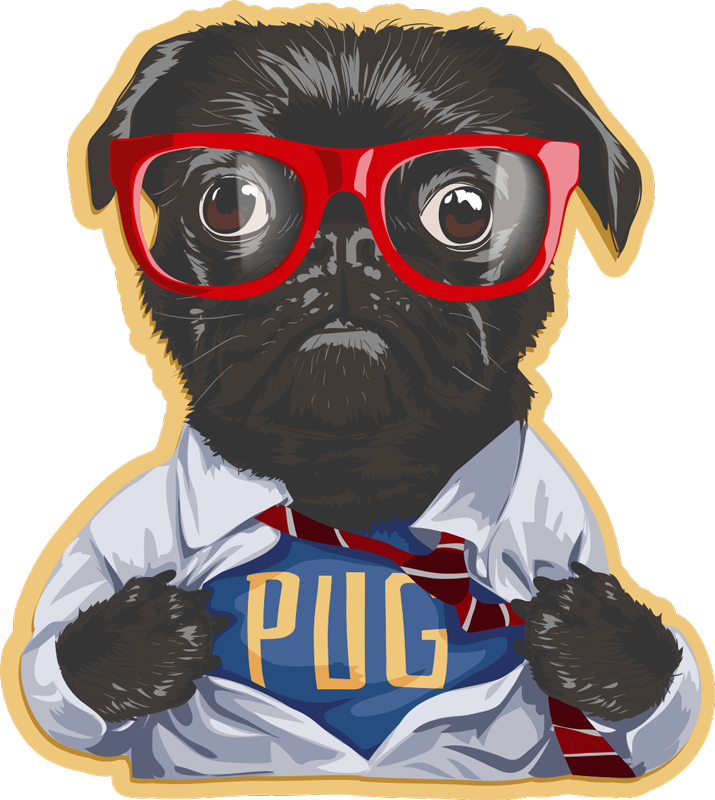 Retro Vinyl Teppich - Hund mit Brille - TenStickers