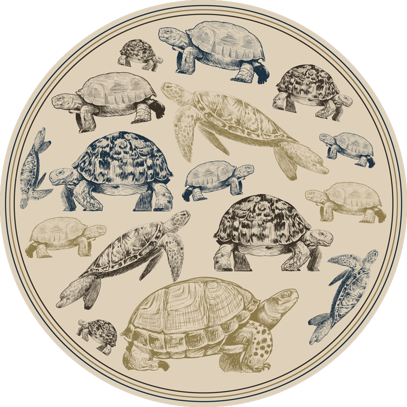 Vinyl Teppich Tiere schildkröte illustrationen - TenStickers