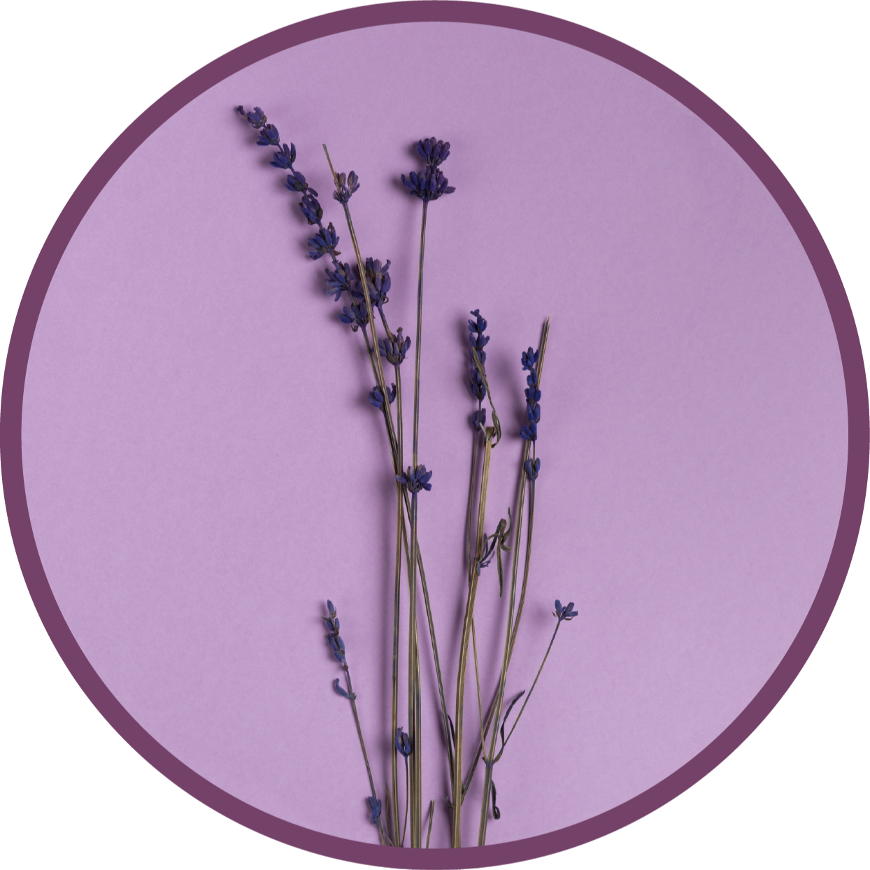 Vinyl Teppich Blumen lavendel-silhouette - TenStickers