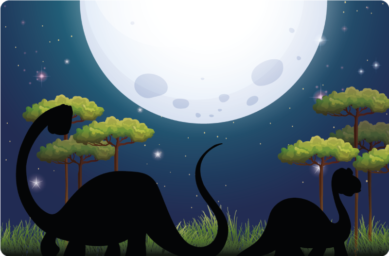 Vinyl Teppich kindlich safari-abenteuer-rundkurs - TenStickers