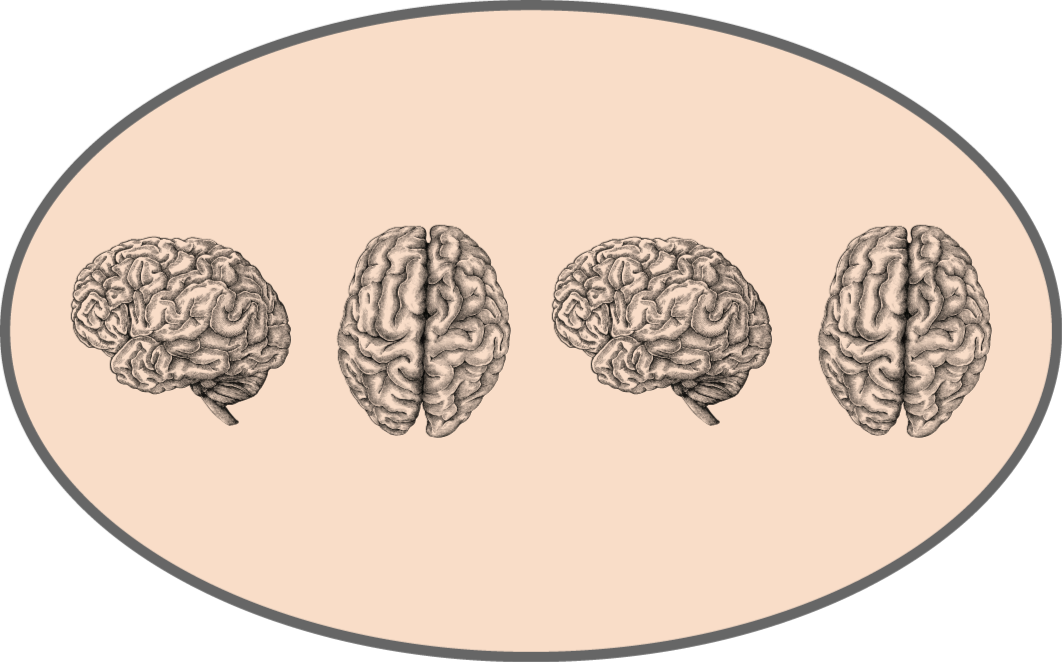 Vinylteppich Vintage Reihe von vintage-gehirnen - TenStickers