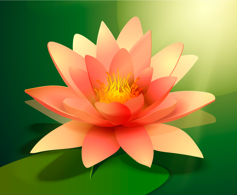 Vinyl Teppich Blumen blühender lotus - TenStickers