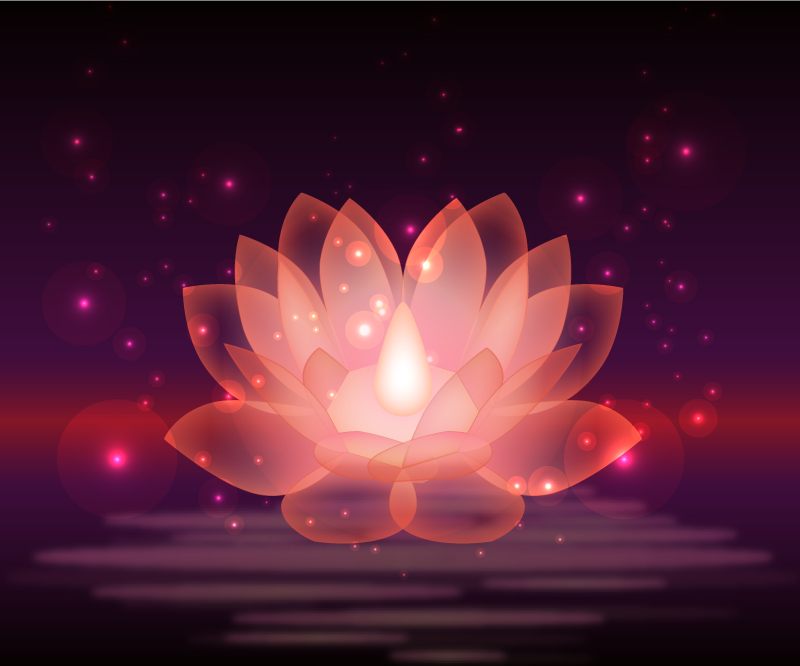 Vinylteppich Blumen Lotus funkeln - TenStickers